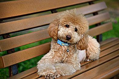 像素风2D平台动作游戏《时空装备：时间守护者》现已上线Steam平台